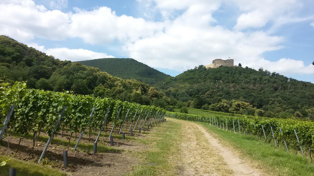 Gaestehaus Weingut Glas Neustadt an der Weinstraße Extérieur photo