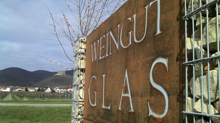 Gaestehaus Weingut Glas Neustadt an der Weinstraße Extérieur photo