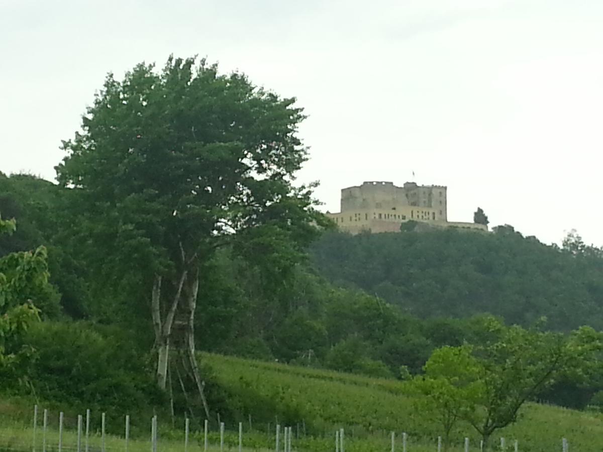 Gaestehaus Weingut Glas Neustadt an der Weinstraße Extérieur photo